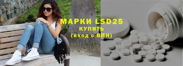 прущие грибы Абинск
