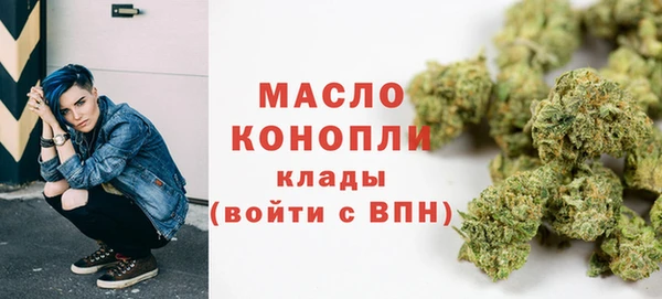 прущие грибы Абинск