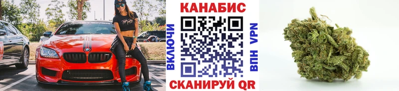 Конопля план  Ладушкин 